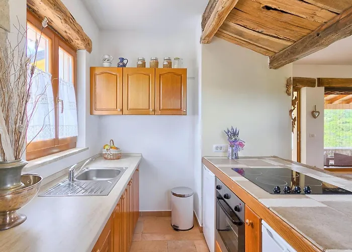 Ferienhaus Stunning In Pazin